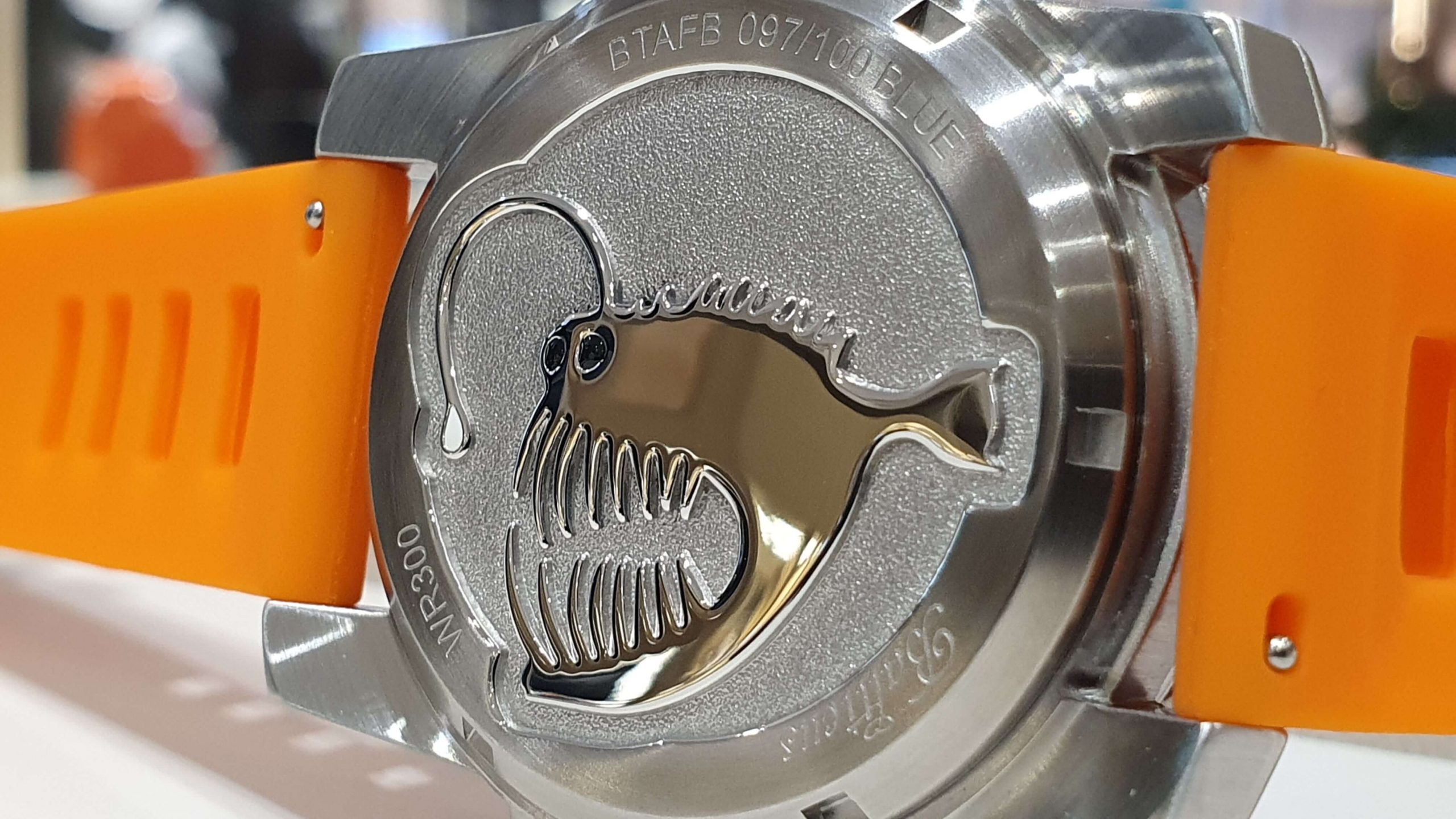 dekiel zegarka Balticus Żabnica