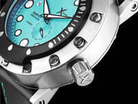 Garfish - Belona BLbk (błękitna tarcza) - obrazek 4