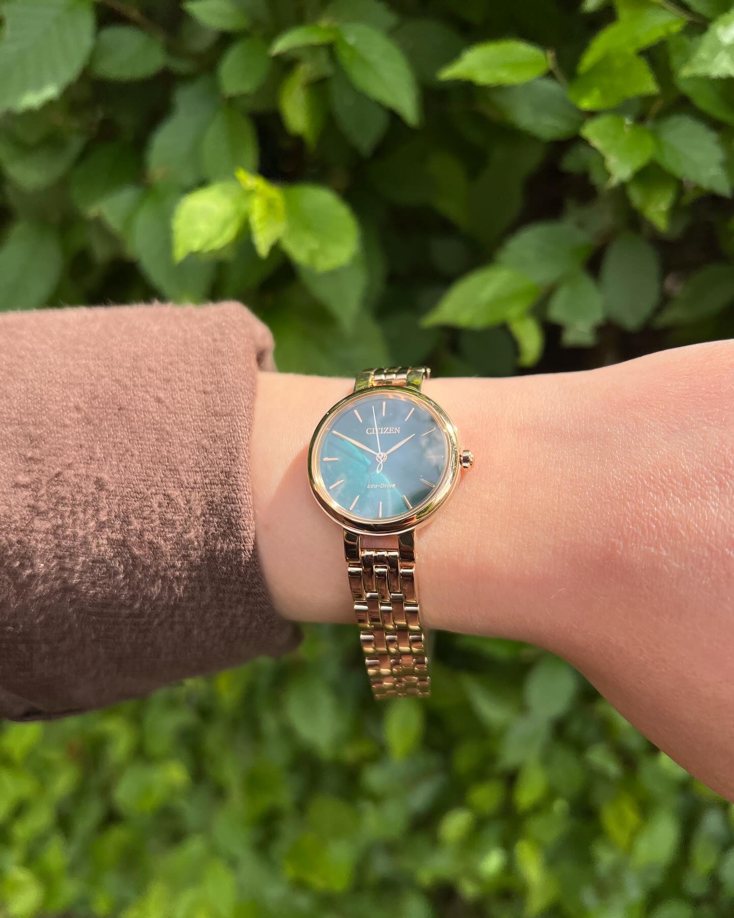 Citizen Lady EM0993-82Z - obrazek 2