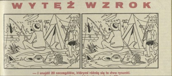 Przekrój i wytęż wzrok